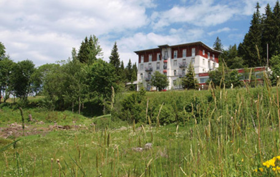 Wellness-Stble im Waldhotel am Notschreipass