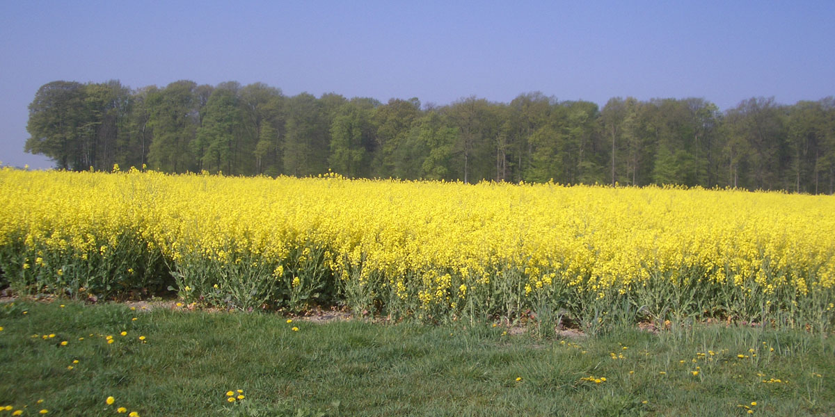 Mecklenburg-Vorpommern