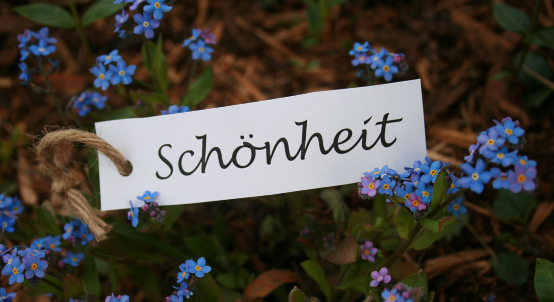 schoenheit